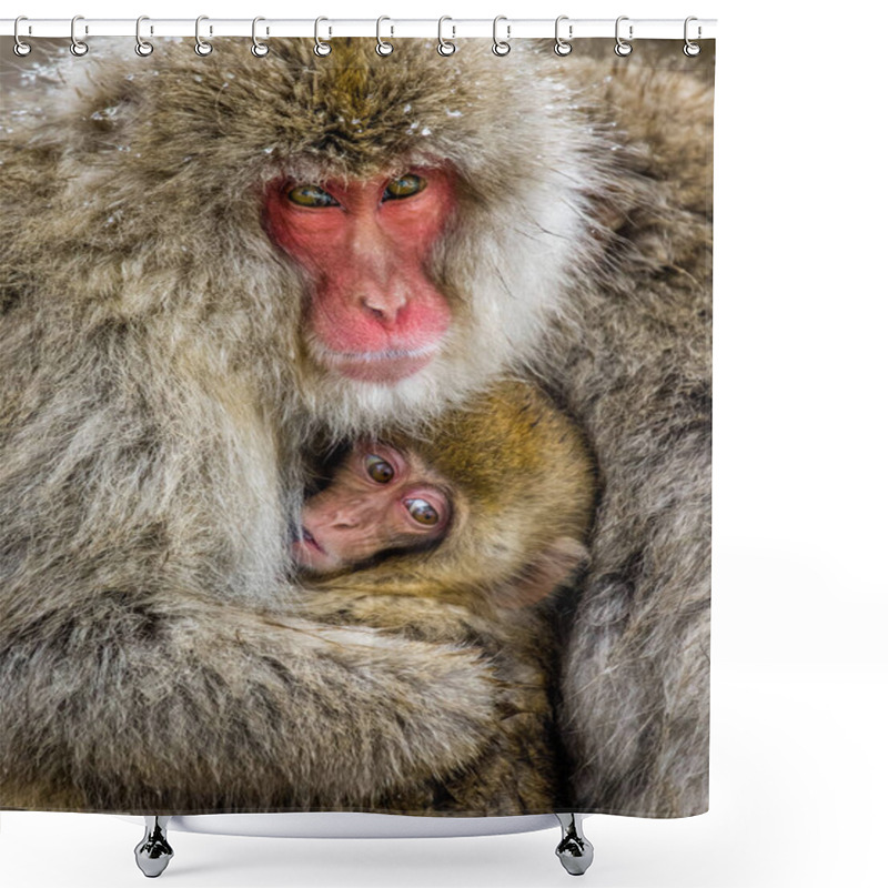 Personality  Mother With Baby Japanese Macaques. Shower Curtains