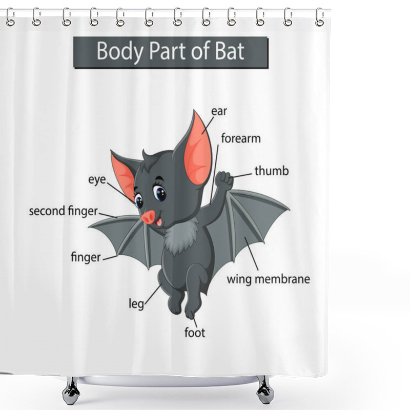 Personality  Diagram Showing Body Part Of Bat Shower Curtains