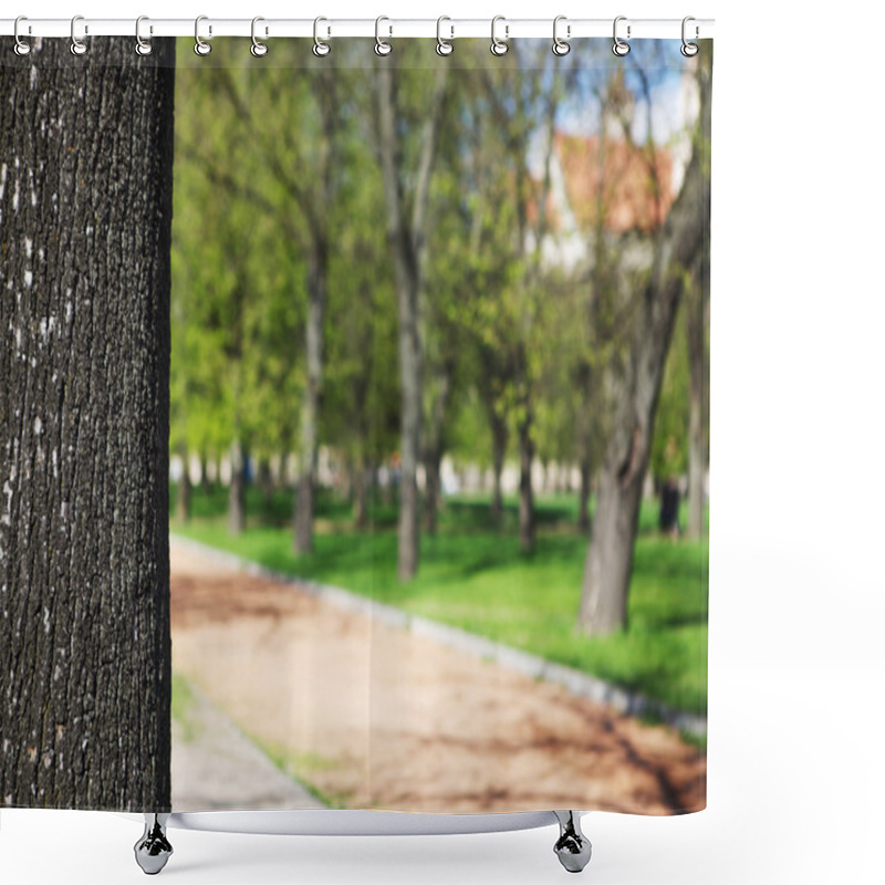 Personality  Alley With Green Summer Trees In The Park Shower Curtains