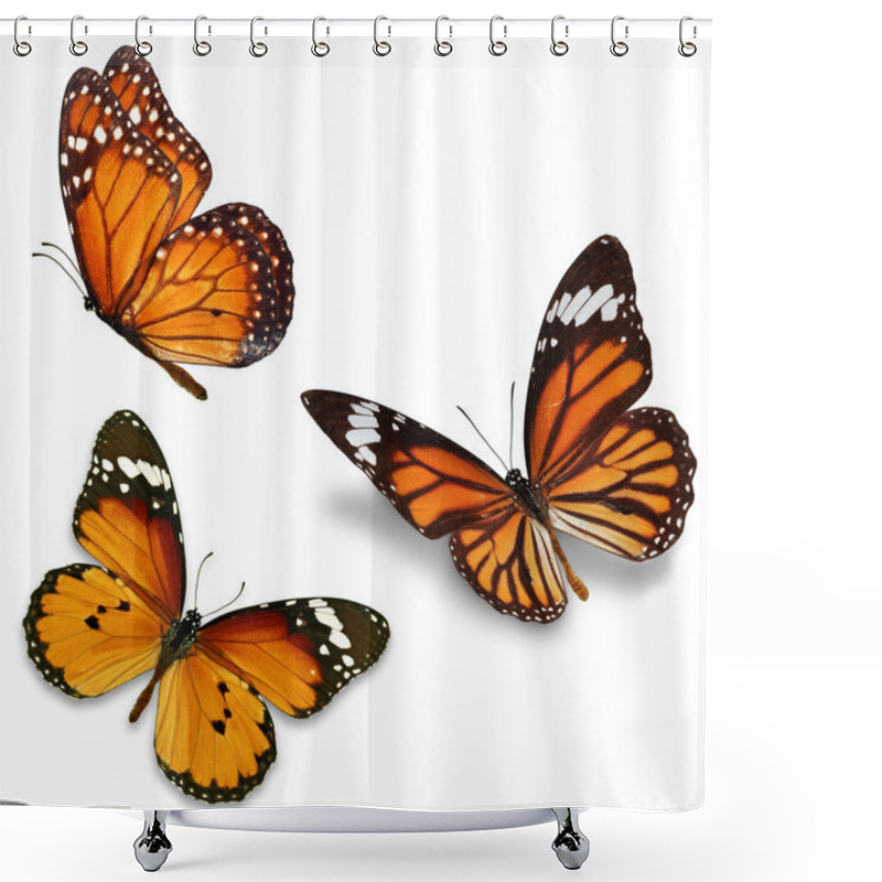 Personality  Three Monarch Butterfly Shower Curtains