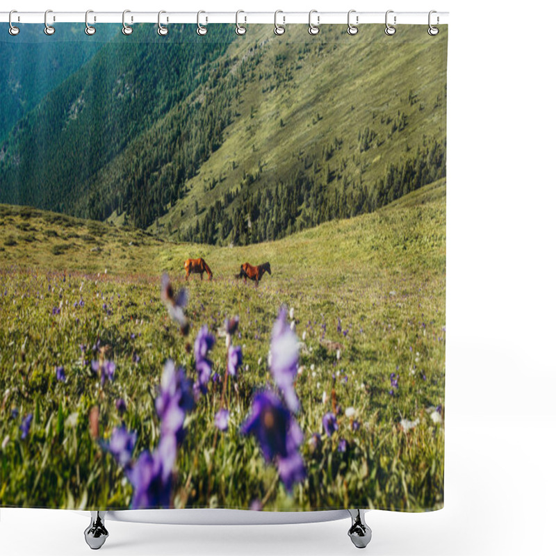 Personality  Horses In Flower Mountains Altai Shower Curtains