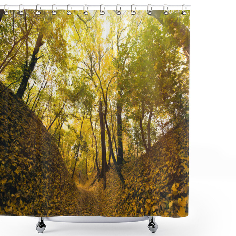 Personality  Autumn Park Covered With Fallen Leaves Shower Curtains