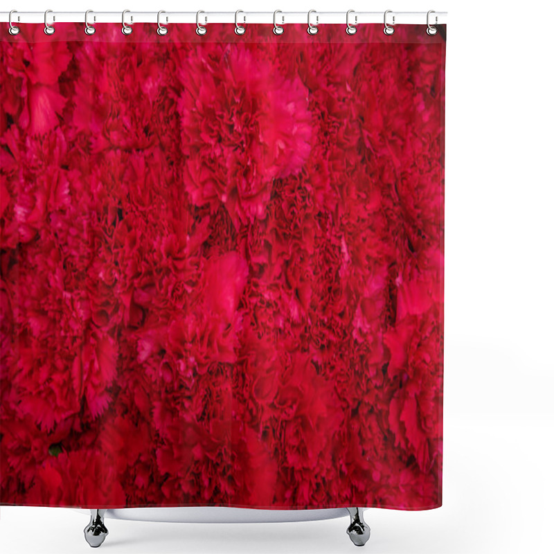 Personality  Beautiful Bright Background Of Pink Chrysanthemums. Shower Curtains