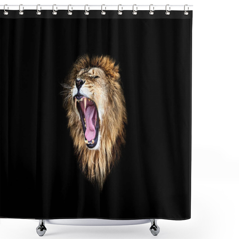 Personality  The Lion Roar, Lion Roar, Lion Portrait Shower Curtains