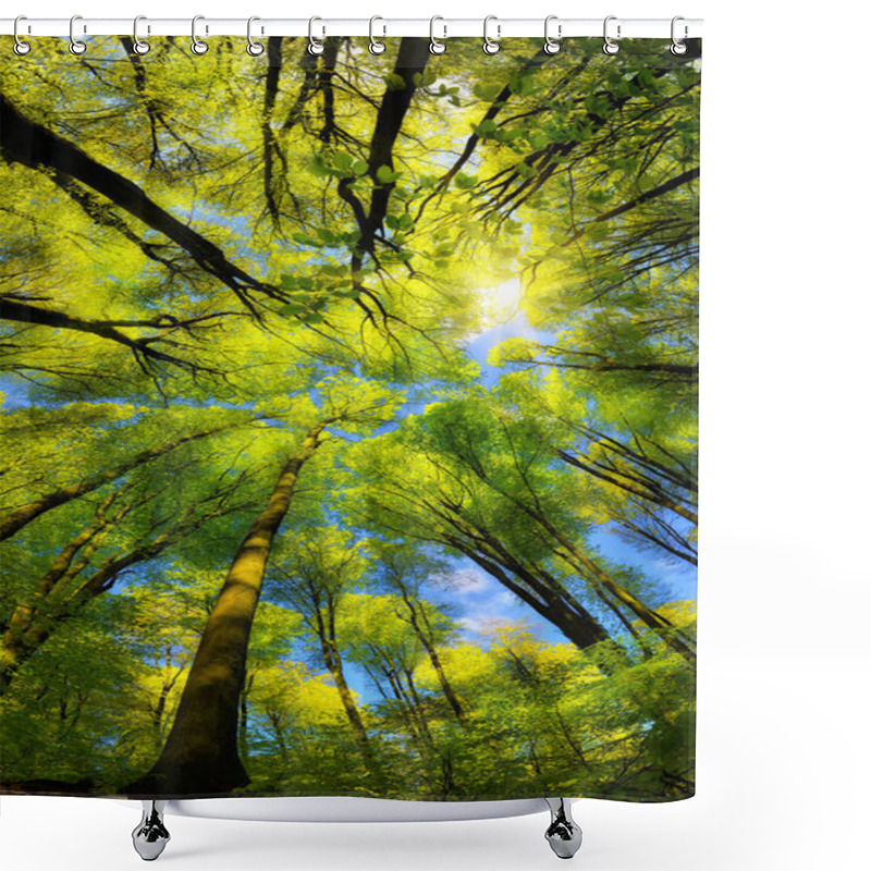 Personality  Majestic Super Wide Angle Upwards View To The Canopy In A Beech Forest With Fresh Green Foliage, Sun Rays And Clear Blue Sky Shower Curtains