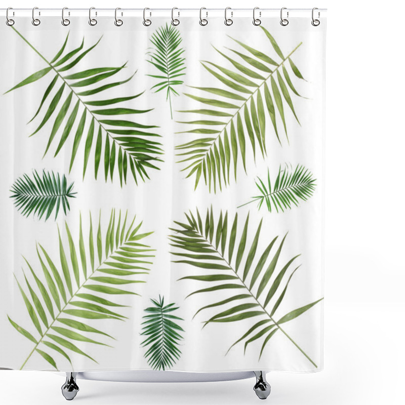 Personality  Collage Of Beautiful Palm Leaves Isolated On White Shower Curtains