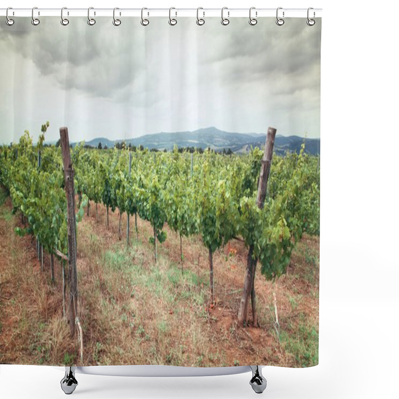 Personality  Tuscany Vineyard Shower Curtains