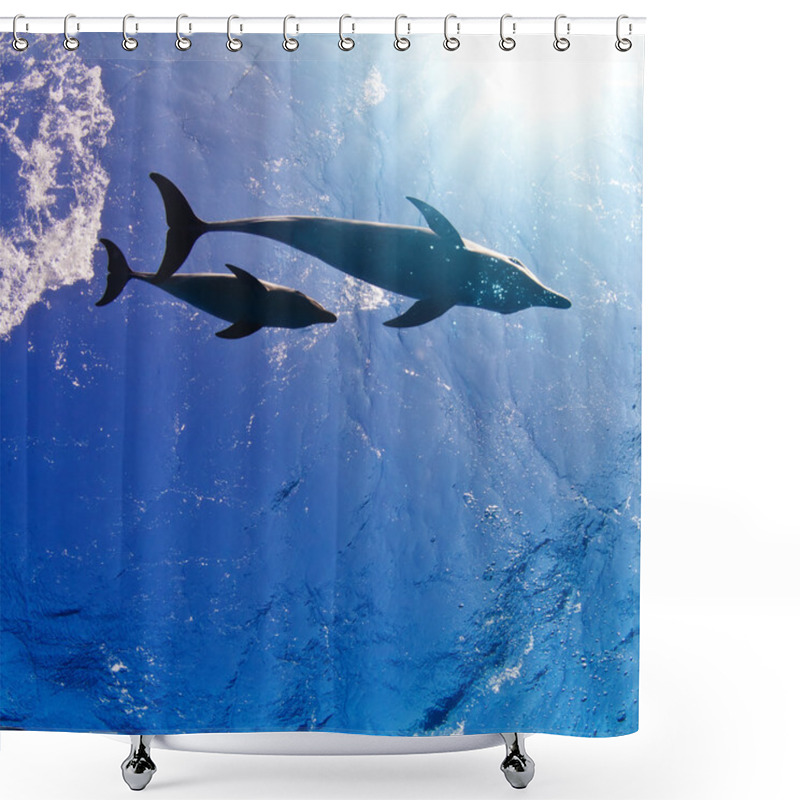 Personality  Two Funny Nice Dolphins Underwater Shower Curtains