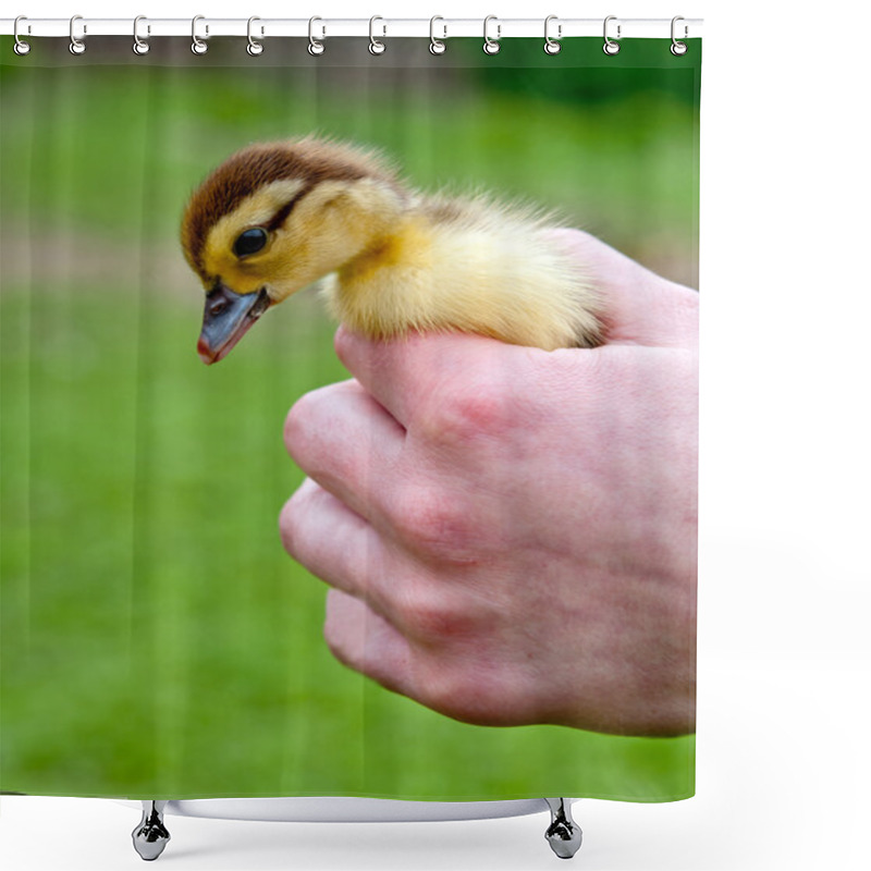 Personality  Chicken In Hands Shower Curtains