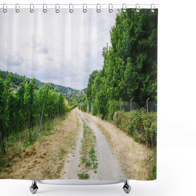 Personality  Road To Village And Vineyard With Trees On Sides In Wurzburg, Germany Shower Curtains