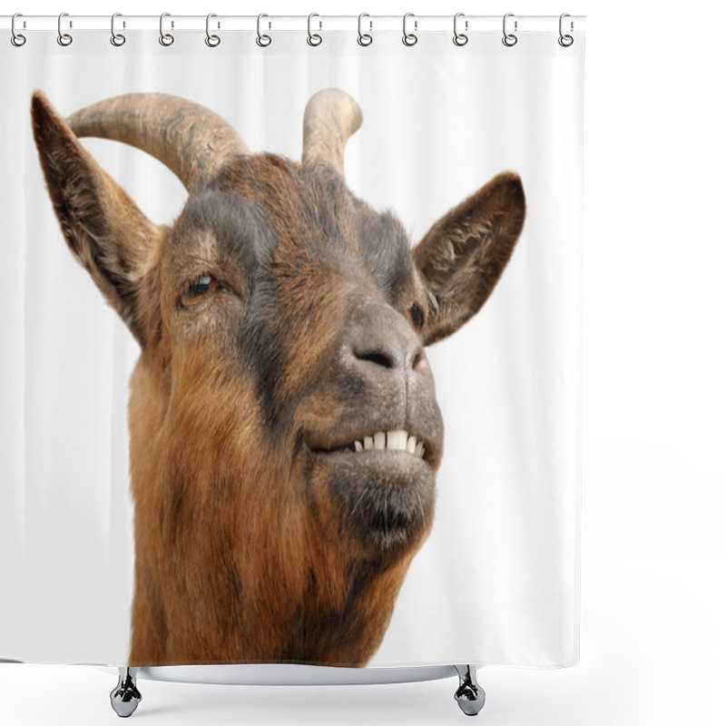 Personality  Cute Brown Goat Shower Curtains