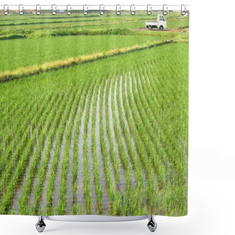 Personality  Rice Paddies In Japan Shower Curtains