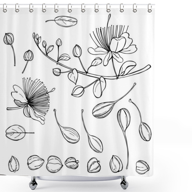 Personality  Hand Drawn Caper Plant  With Flowers. Shower Curtains