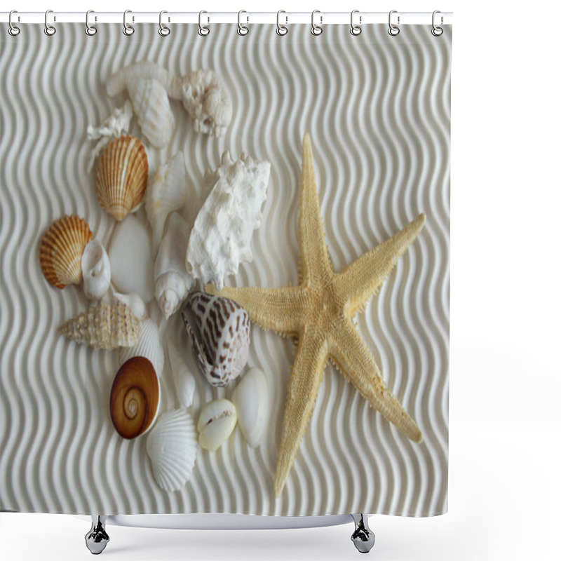 Personality  Sea Shells On The Sand Shower Curtains