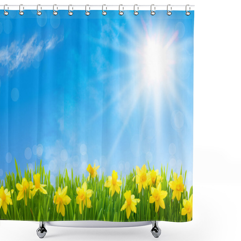 Personality  Daffodils Against Blue Sky Shower Curtains