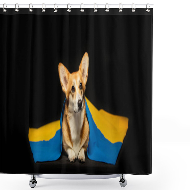 Personality  Beautiful Welsh Corgi Pembroke With Ukraine Flag On Black Background. Patriotic Ukrainian Dog. Peaceful Protest Against The War Shower Curtains