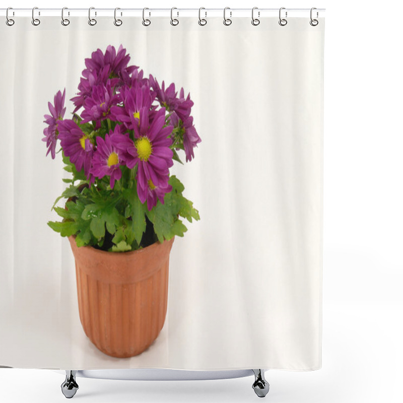 Personality  Chrysanthemum Shower Curtains