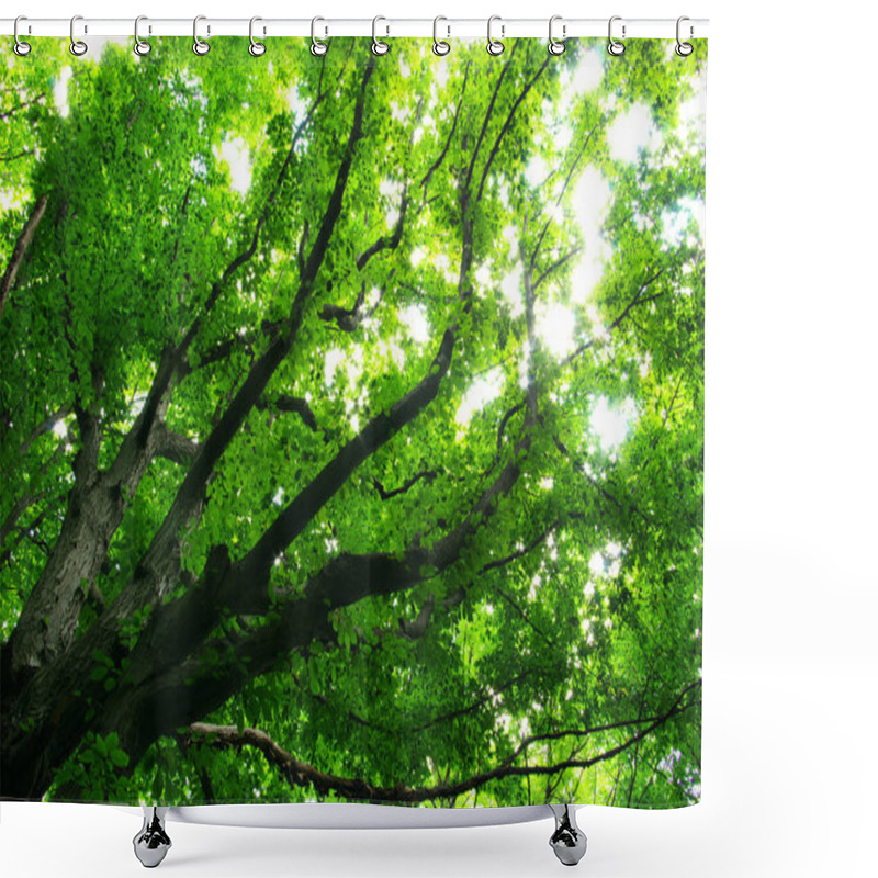 Personality  Spring Summer Flora, Green Leaves Shower Curtains