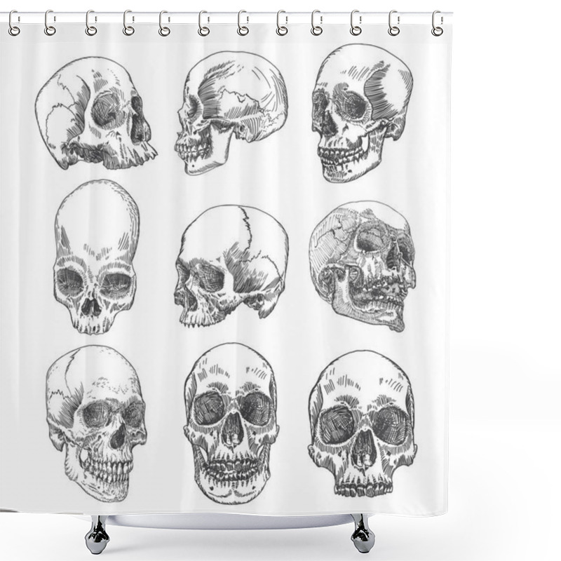 Personality  Set Of Anatomic Skull Sketches Shower Curtains