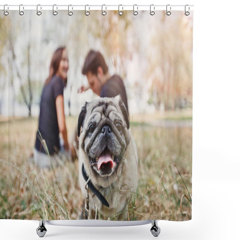 Personality  Pug-dog Walk In The Park And Look To Camera Shower Curtains