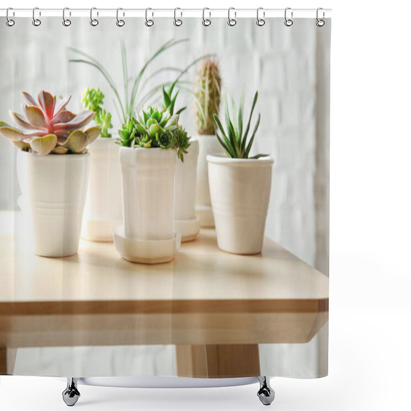 Personality  Pots With Succulents On Table  Shower Curtains