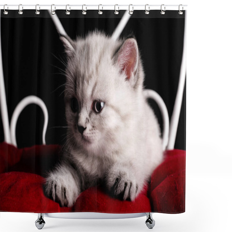 Personality  Little Cute White Kitten Resting On The Pillow. Isolated On A Bl Shower Curtains