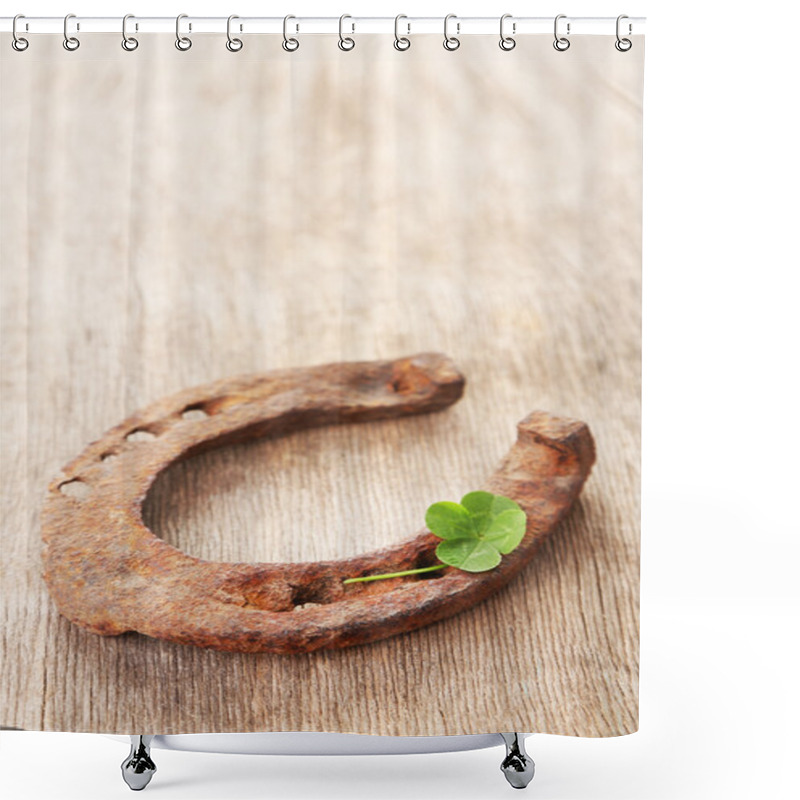 Personality  Old Horse Shoe Shower Curtains