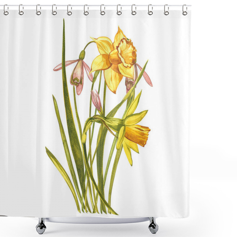 Personality  Watercolor Narcissus And Snowdrops. Wild Flower Set Isolated On White. Botanical Watercolor Illustration, Yellow Narcissus Bouquet, Rustic Flowers. Watercolor Illustration On White Background. Set Of Shower Curtains