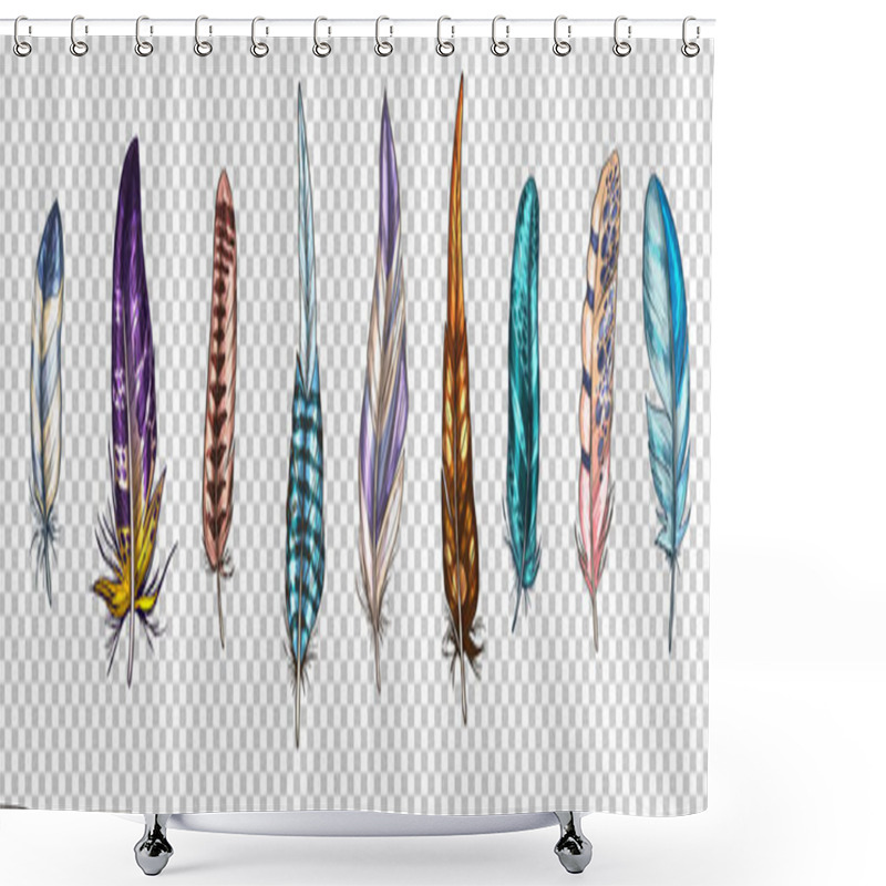 Personality  Colorful Detailed Bird Feathers, Isolated On A Transparent Background. A Set Of Beautiful Bird Plumage. Vector Illustration Shower Curtains