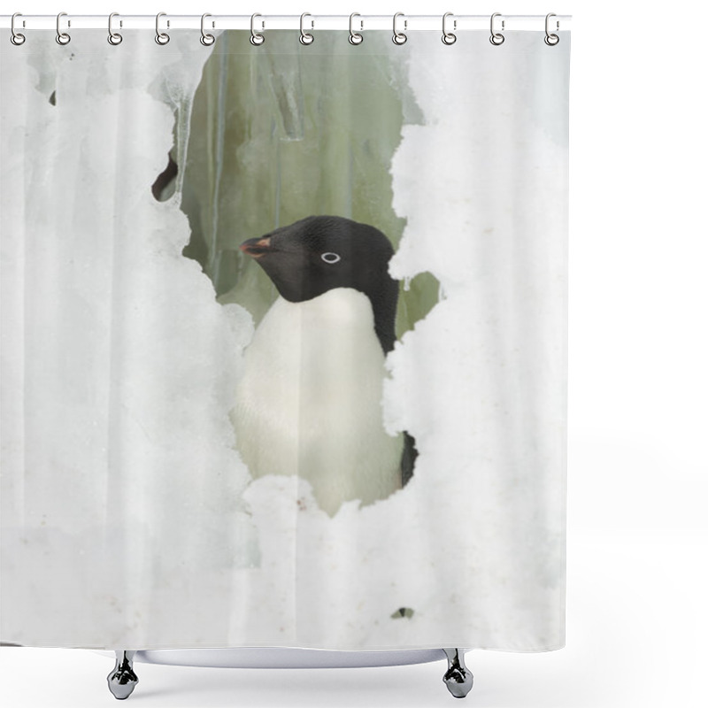 Personality  Adelie Penguin Looking Out The Window Of The Snow. Shower Curtains