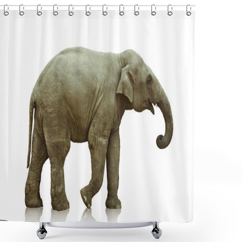 Personality  Elephant Calf Shower Curtains