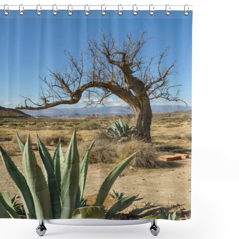 Personality  Cactuses And Dead Tree In Tabernas Desert Mountains, In Spanish Desierto De Tabernas. Almeria, Andalusia Region, Spain. Protected Wilderness Area And Location For Spaghetti Western Movies Shower Curtains