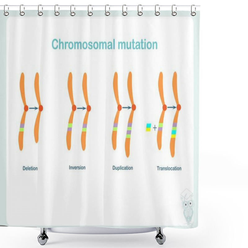 Personality  Chromosomes Mutation Banner. Design Element Stock Vector Illustration For Education, Biological Lessons In College Shower Curtains