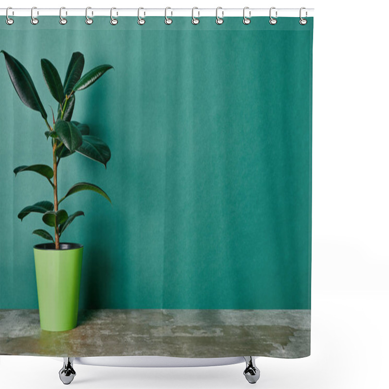 Personality  Ficus Plant In Flowerpot On Green Background Shower Curtains