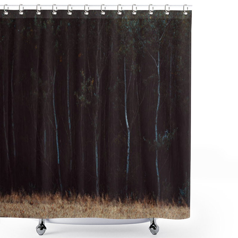 Personality  Photo Of Dark Woodland Shower Curtains