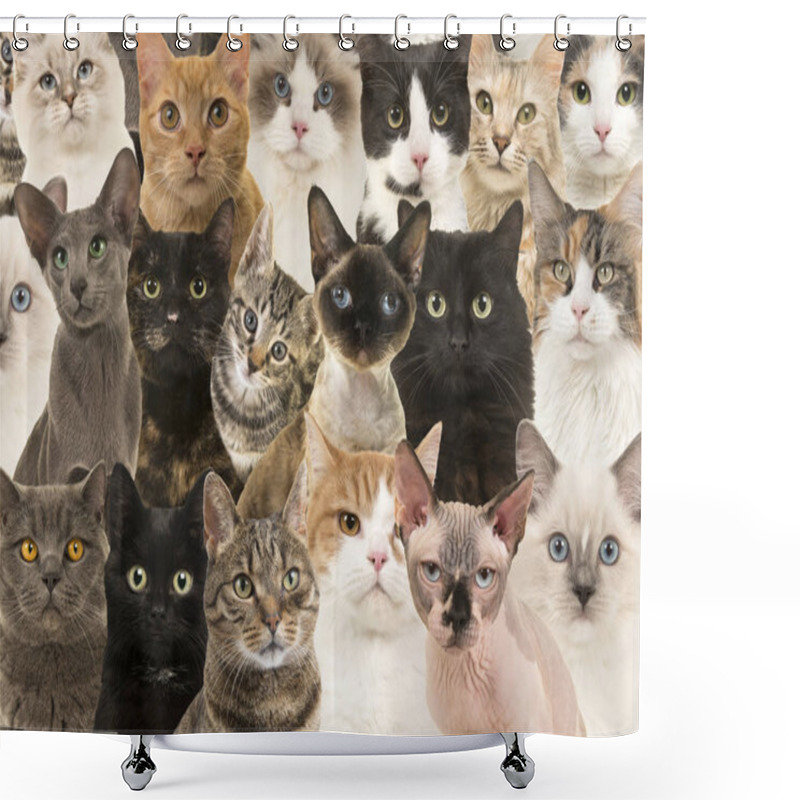 Personality  Cat Portraits Shower Curtains