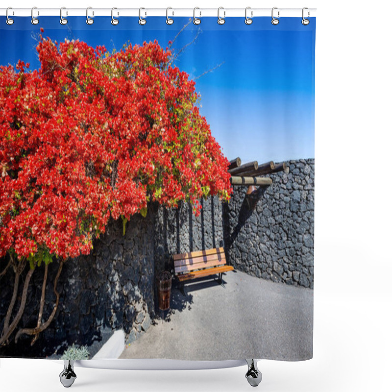 Personality  Street Springtime View Of A Gorgeous And Peaceful Garden With Wooden Bench Under Huge Bush With Red Blossoms Next To Huge Volcanic Stones Wall And A Litter Bin In Lanzarote, Canary Islands, Spain Shower Curtains