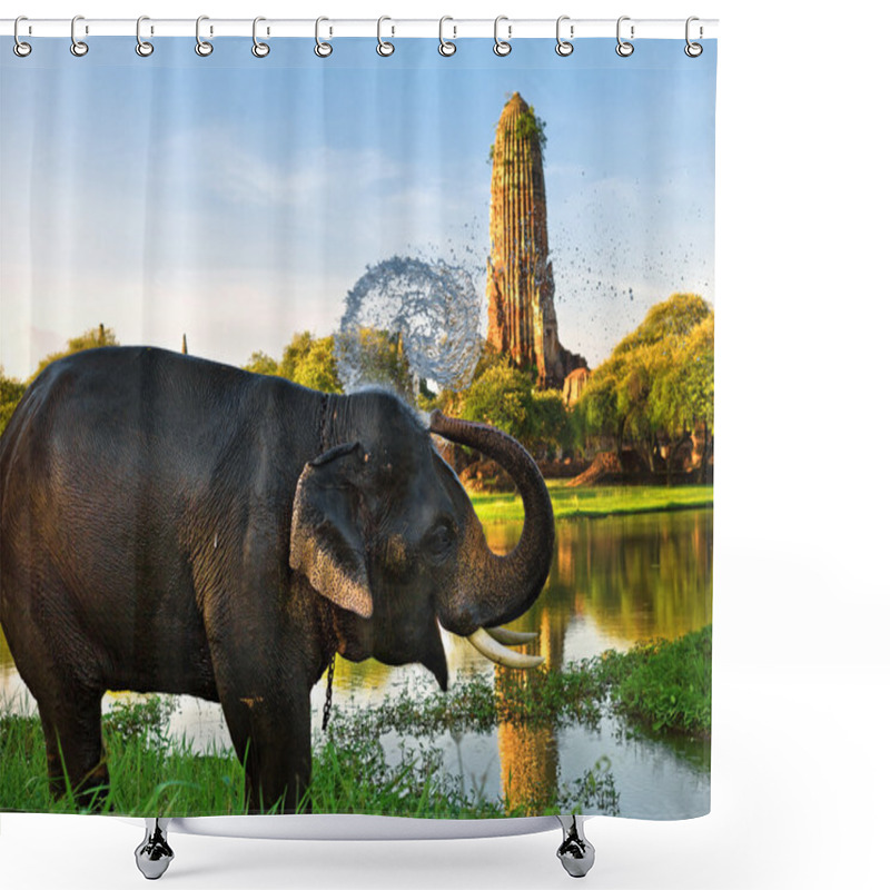 Personality  Elephant Bathing In Ayutthaya Shower Curtains