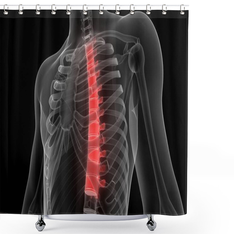 Personality  Vertebral Column Thoracic Vertebrae Of Human Skeleton Anatomy X-ray 3D Rendering Shower Curtains