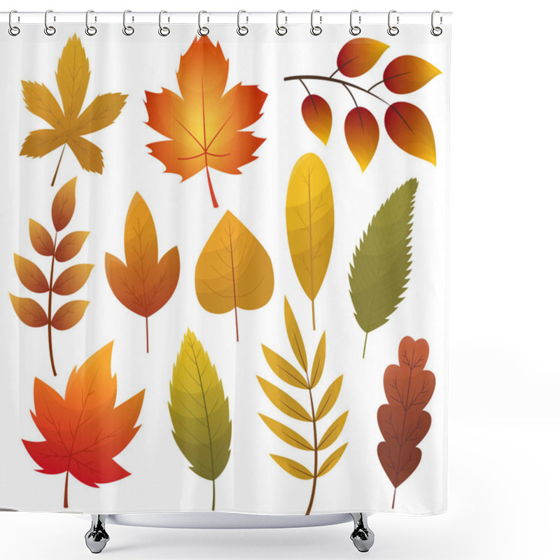 Personality  Fall Leaf Collection. Set Of Autumn Leaves, Isolated On White Background. Simple Cartoon Flat Style, Vector Illustration. Multicolor Autumn Leaves Flat Vector Icons Shower Curtains