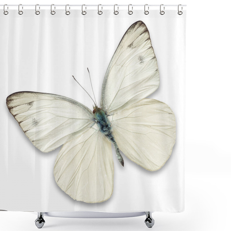 Personality  White Butterfly Shower Curtains