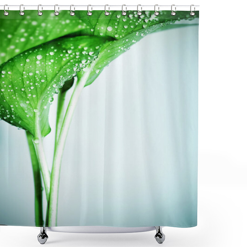 Personality  Fresh Green Leaves Shower Curtains