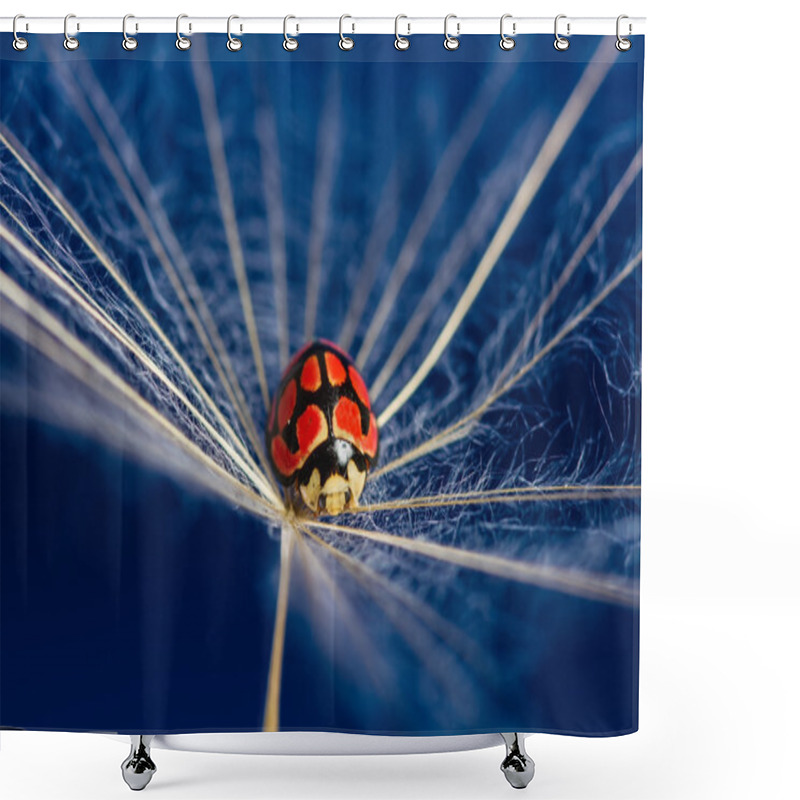 Personality  Red Lady Bug Sit On A Floating Dandoline In Bright Blue Shower Curtains