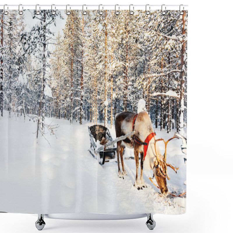 Personality  Reindeer In A Winter Forest In Finnish Lapland Shower Curtains