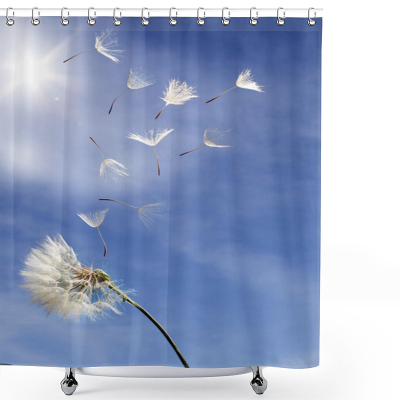 Personality  Flying Dandelion Seeds On A Blue Background Shower Curtains