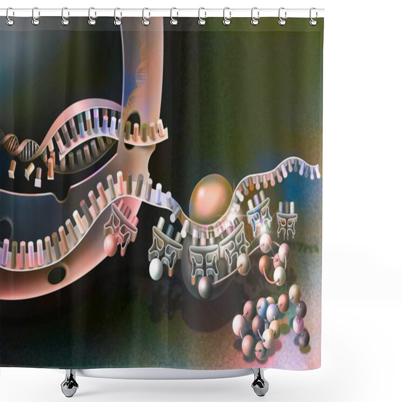 Personality  Transcription Of DNA Into Messenger RNA And Its Translation. Shower Curtains