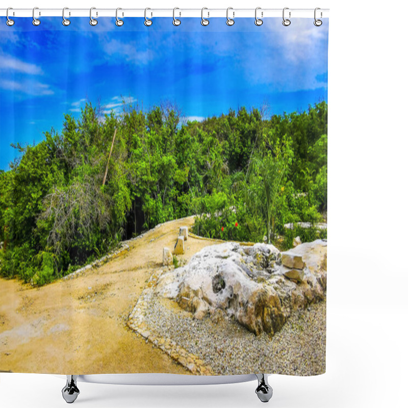 Personality  Green Tropical Jungle And Nature Palm Trees Palms Of Tulum With Blue Sky In Quintana Roo Mexico. Shower Curtains