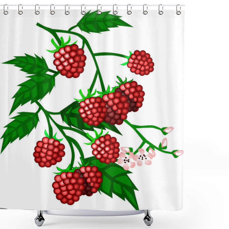 Personality  Fresh And Juicy Raspberries With Pink Flowers, Pink Buds And Green Leaves Shower Curtains