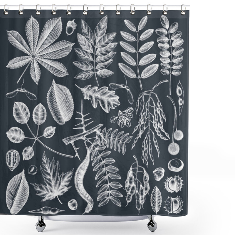 Personality  Hand Sketched Autumn Leaves Collection On Chalkboard. Elegant And Trendy Botanical Elements. Hand Drawn Autumn Leaves, Berries, Seeds And Bird Sketches. Perfect For Invitation, Cards, Flyers, Menu, Label, Packaging. Vintage Botanical Illustration Shower Curtains