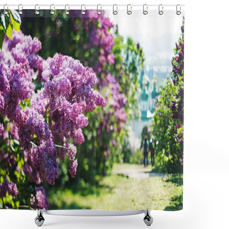 Personality  Lilac Blossoms In The Park In Spring Shower Curtains